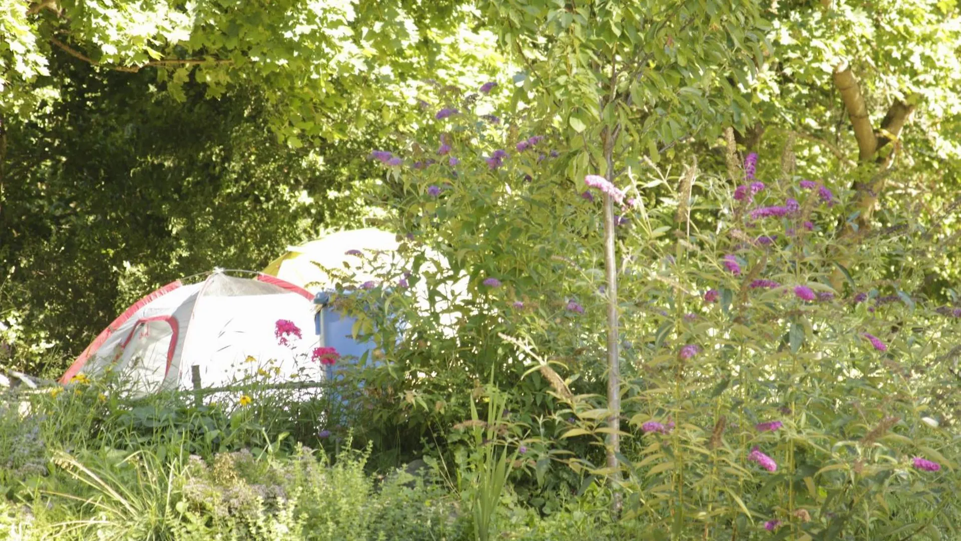 The Tent - Youth Only - Buchung Leider Nur Bis 30 Jahre Moeglich! Monaco di Baviera Ostello